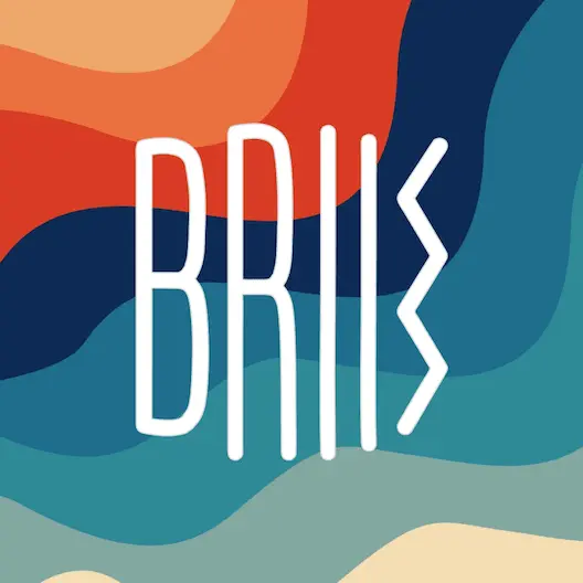 Briis logo Briis logo